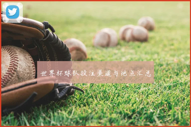世界杯球队投注渠道与地点汇总