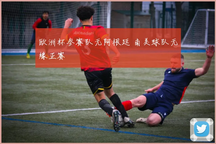 欧洲杯参赛队无阿根廷 南美球队无缘正赛