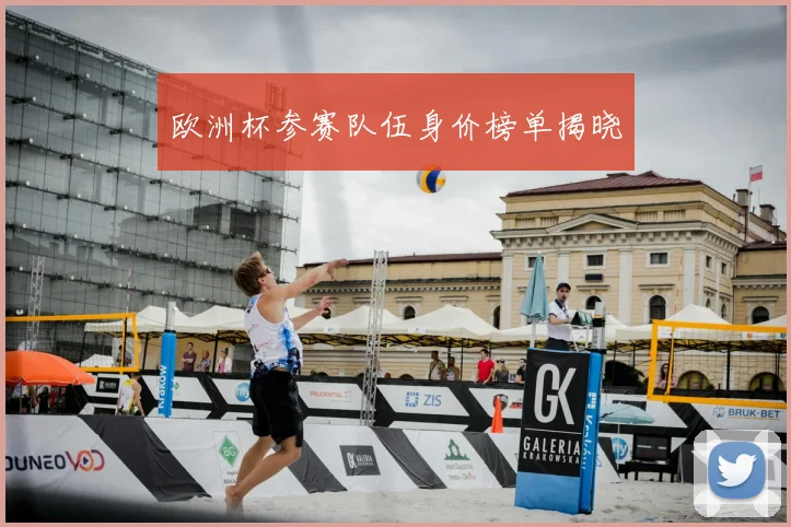 欧洲杯参赛队伍身价榜单揭晓