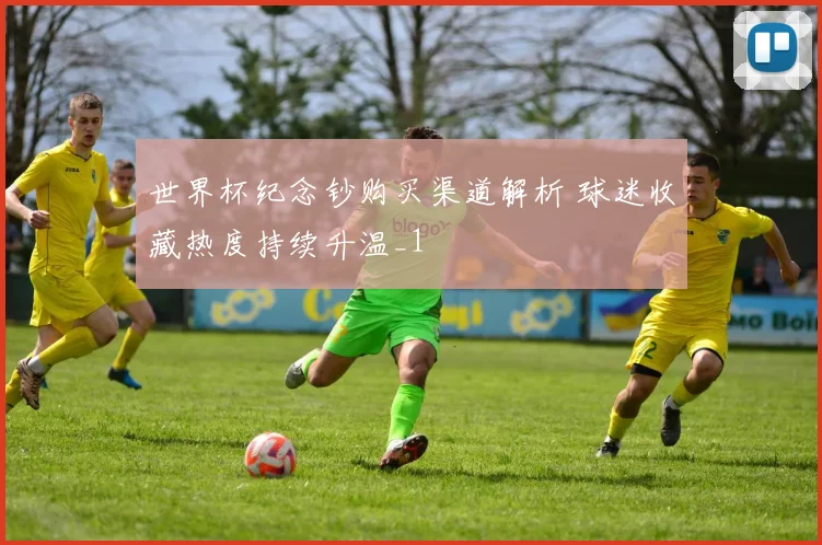 世界杯纪念钞购买渠道解析 球迷收藏热度持续升温_1