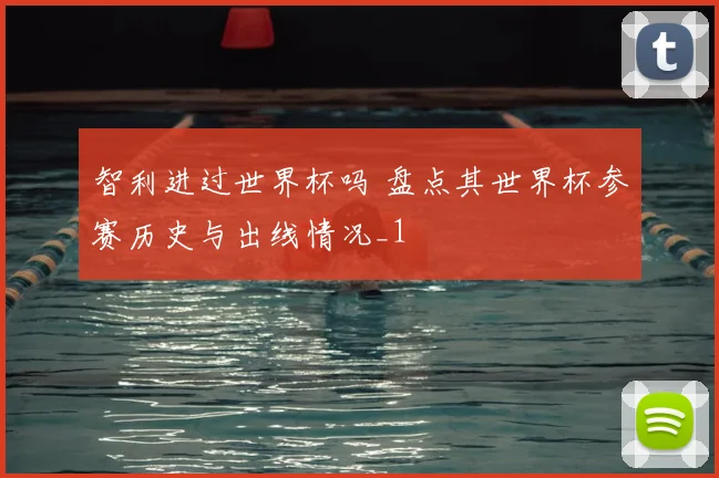 智利进过世界杯吗 盘点其世界杯参赛历史与出线情况_1