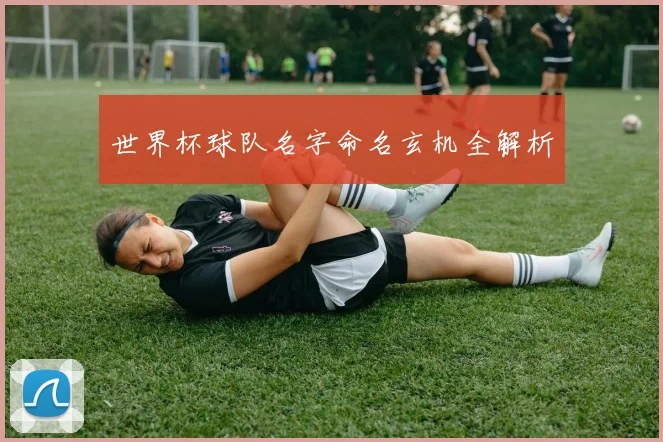 世界杯球队名字命名玄机全解析