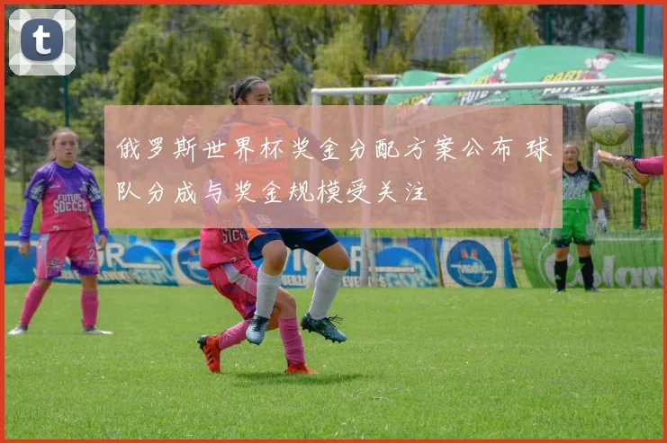 俄罗斯世界杯奖金分配方案公布 球队分成与奖金规模受关注